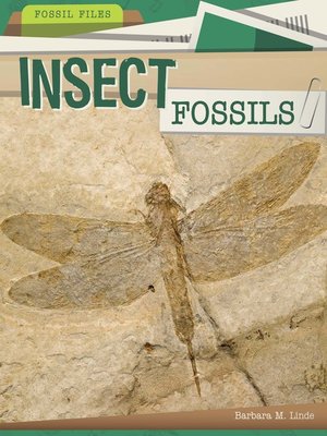 cover image of Insect Fossils